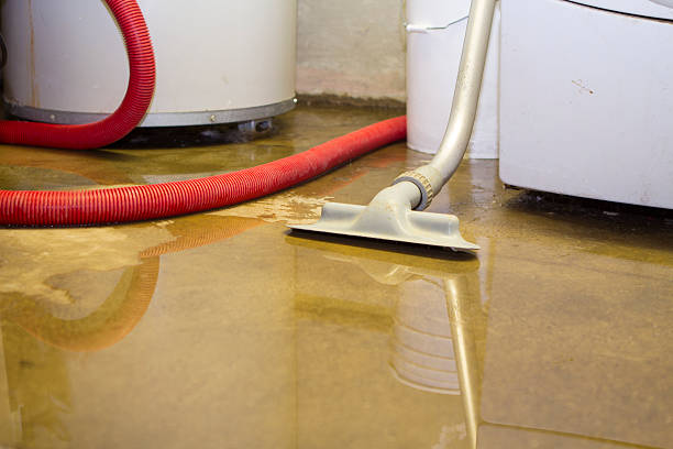 Best Mold removal after water damage  in Bethany, OR